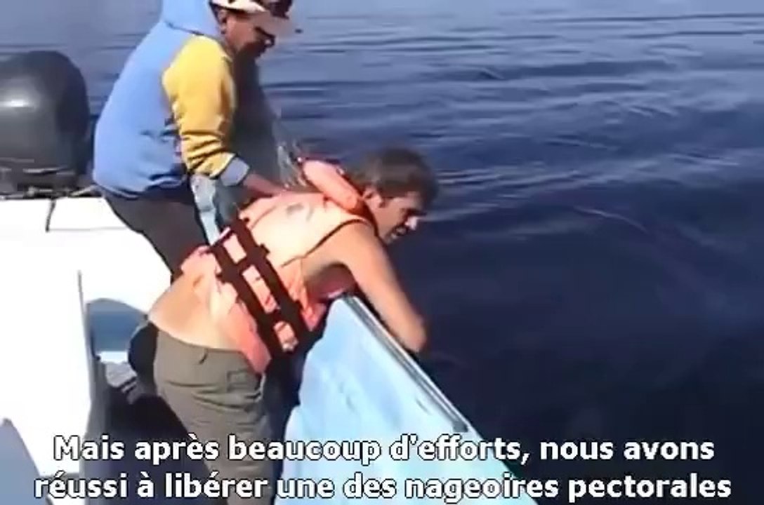 un homme découvre une baleine et alors qu’il s’approche d’elle, il va faire une découverte choquante_(360p)