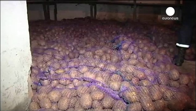 Kiev inspecte les camions d'aide russe, le convoi humanitaire ukrainien est arrivé vers Lougansk