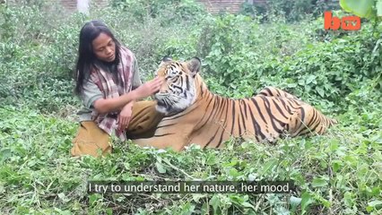 Tiger And Man Best Friends