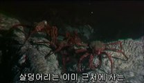 ▷밤의전쟁௺동수원오피bamwar『com』༁부산진오피서면오피༻㉪▷밤의전쟁༐동안양오피bamwar.com༂중부산오피연산오피༼㉭