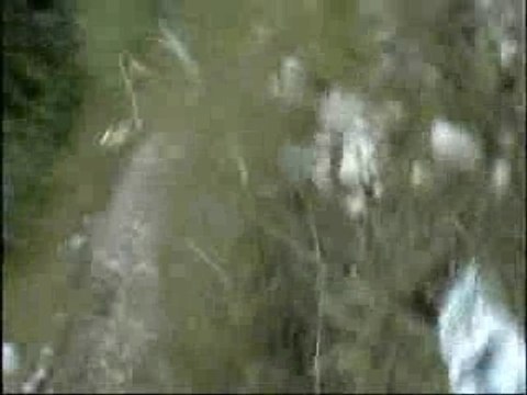 Delire combat ac effets spéciaux mdr