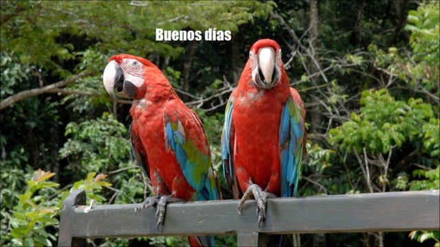 National Anthem of Venezuela - Gloria Al Bravo Pueblo