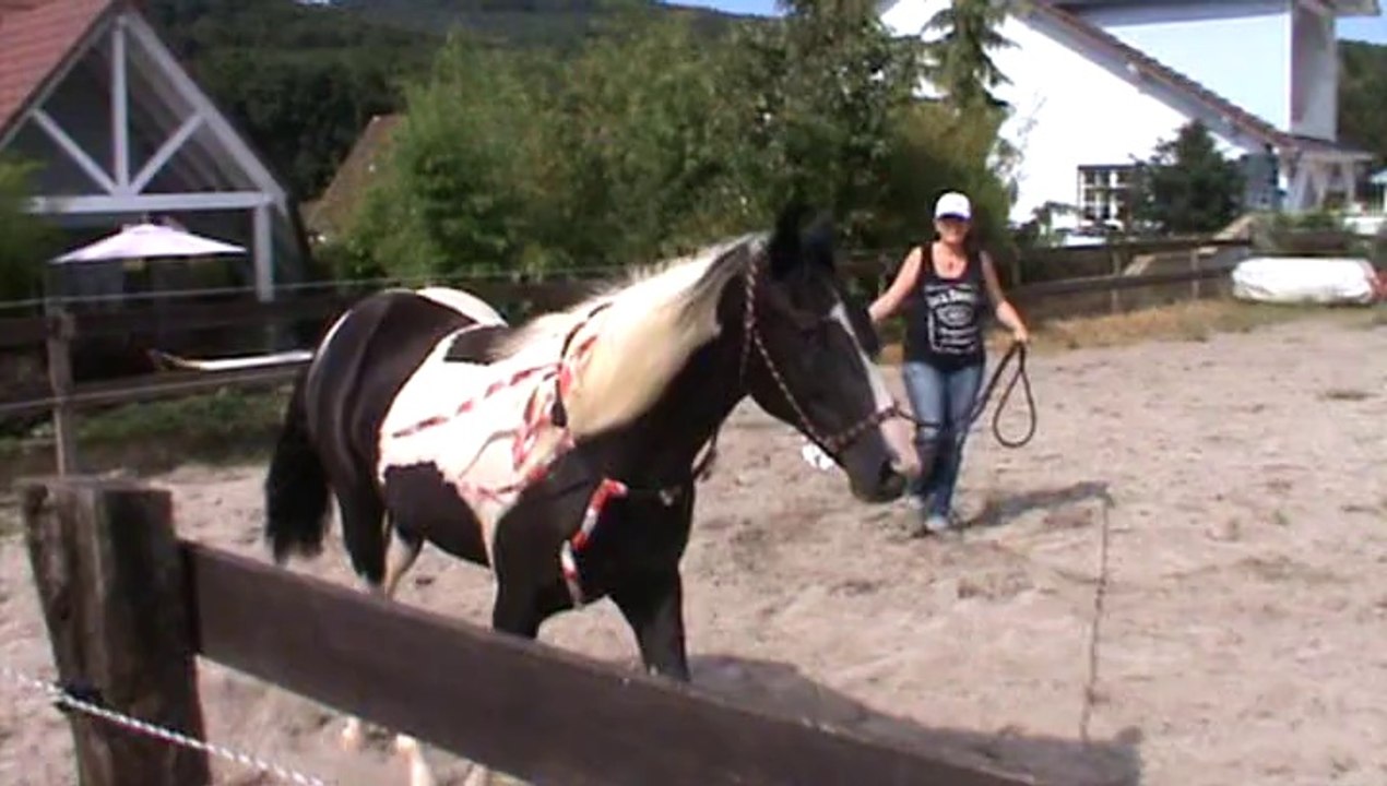 09-08-2014 carriere (3)