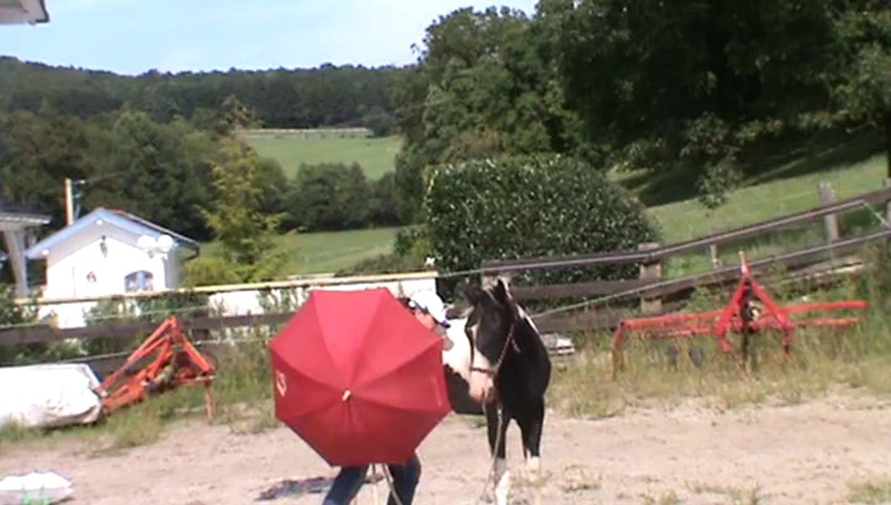 09-08-2014 carriere (5)