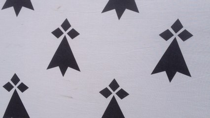 Le bagad de Plomodiern sur scène