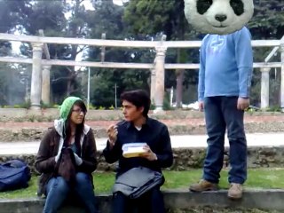 NUNCA DIGAS NO AL QUESO PANDA