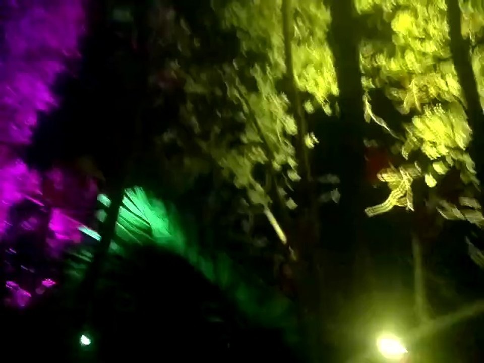 Dub Forest - Lost Theory Festival - Coatia 2014