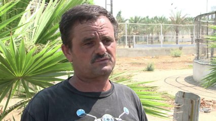 حتى الحيوانات لم تسلم من قساوة الحرب