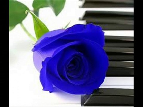 Chanson JE NE SUIS QU' UNE CHANSON