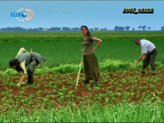 Избрани моменти на Демир и Аси 28