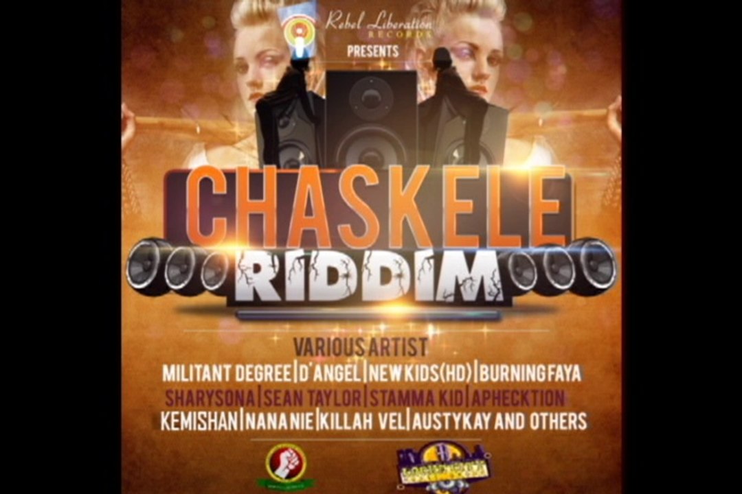 CHASKELE RIDDIM (REBEL LIBERATION RECORDS) 2014 Mix Slyck