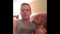Dog Pretends She Wasn't Staring Vine By Taylor White