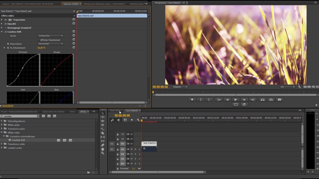 TRIM #02: Les Codecs
