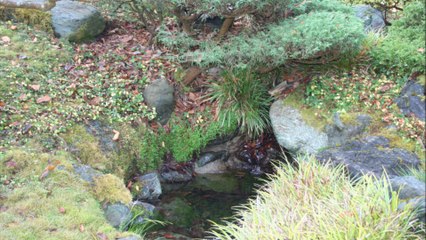Japanese Tea Garden  San Francisco 30 Décembre 2013