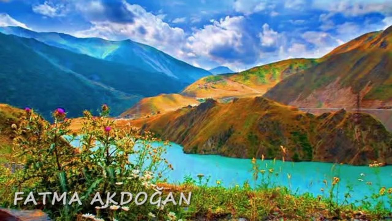 ZÜLFÜ LİVANELİ-ODAM KİREÇ TUTMUYOR