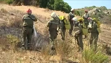 Haute-Corse : 14 hectares ravagés par les flammes en Balagne
