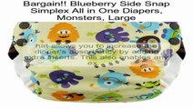 Blueberry Side Snap Simplex All in One Diapers, Monsters, Large Review
