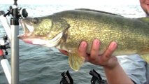 Hook Shots: Lake Erie Wall-Hanger Walleyes