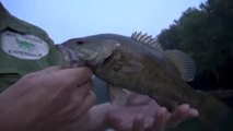 Hook Shots: WV Whitewater Smallmouths