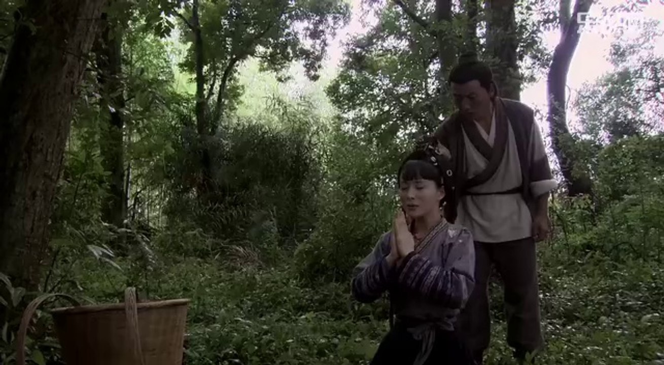 大南迁20