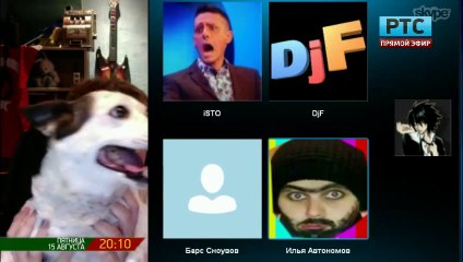 Гав-гав шоу в прямом эфире