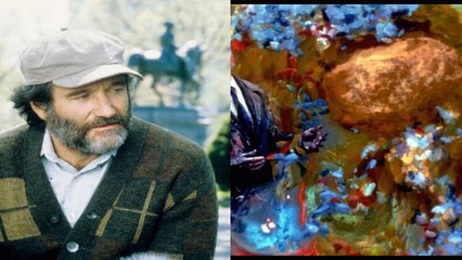 Tributo a Robin Williams R.I.P.