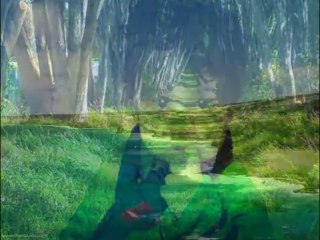 هيفاء يا بطة يا قطة