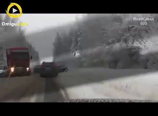 Professional Truck Drivers