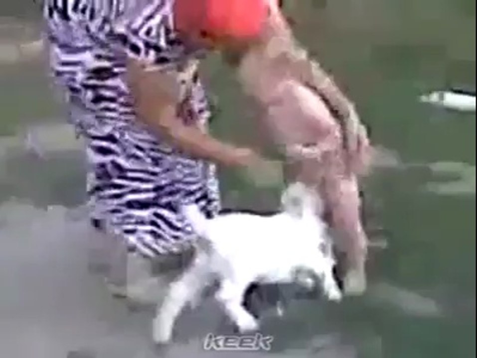 fanny video
